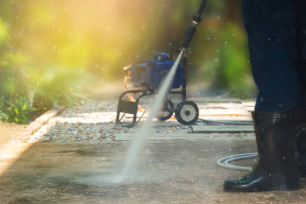 Best Driveway Cleaning and Restoration in Davidson, NC